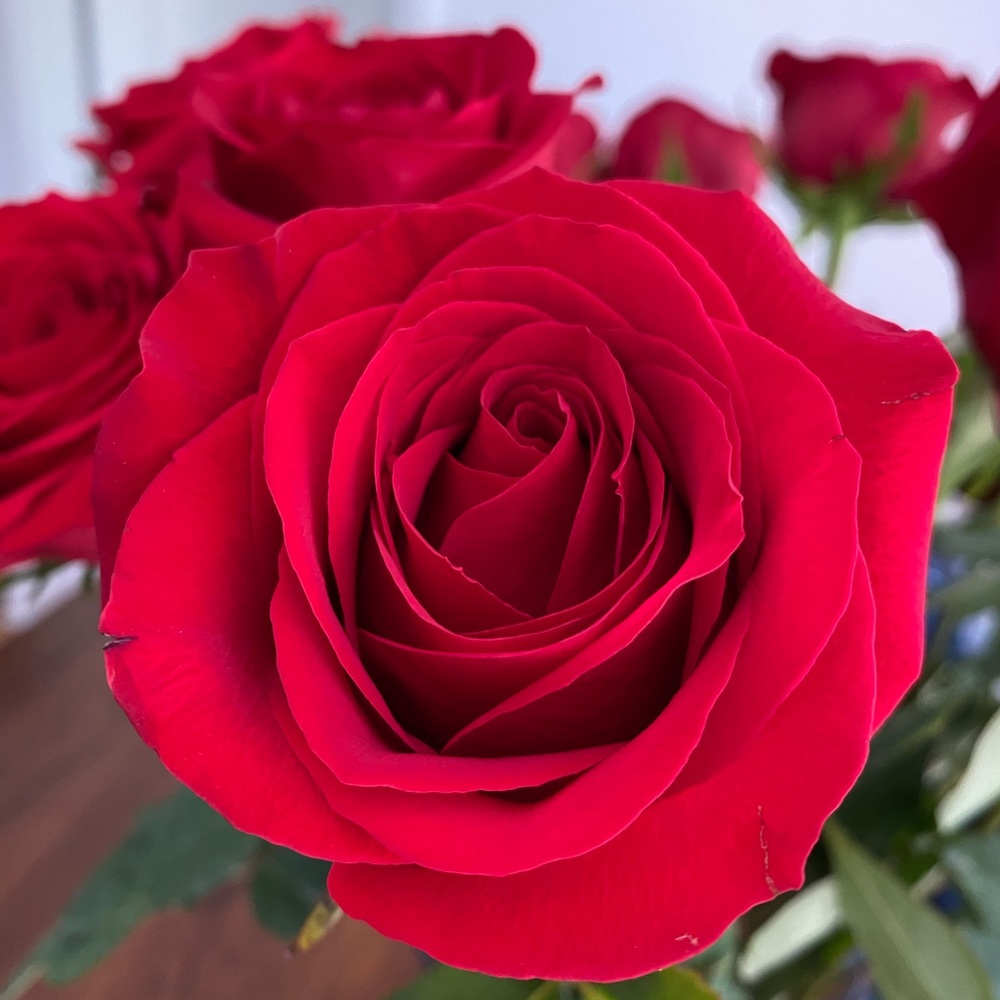 Meet your Posher, Evgeniya